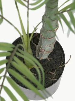 Kunstpalm Palme in plantenbak^Westwing Hot