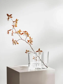 Mondgeblazen vaas Alvar Aalto, H 16 cm^iittala Online