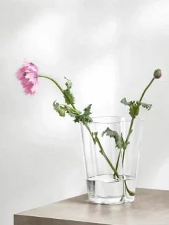 Mondgeblazen vaas Alvar Aalto, H 22 cm^iittala Clearance