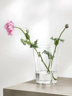 Mondgeblazen vazen Alvaro Aalto, set van 2^iittala Fashion