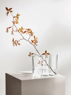 Mondgeblazen vazen Alvaro Aalto, set van 2^iittala Fashion