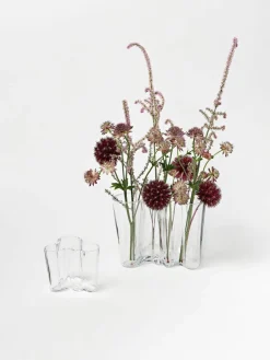 Mondgeblazen vazen Alvaro Aalto, set van 2^iittala Fashion