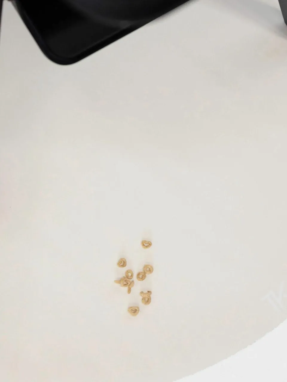 Naturals vloerbeschermingsmat, antislip^Toddlekind Outlet