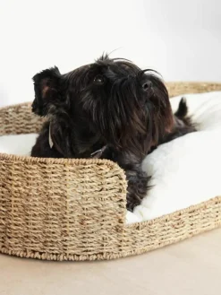 Omkeerbaar dierenkussen Codie, B 80 cm^Westwing Online