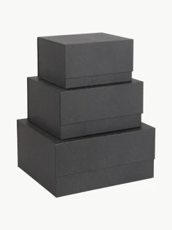 Opbergdozen Ilse, set van 3^Bigso Box of Sweden Sale