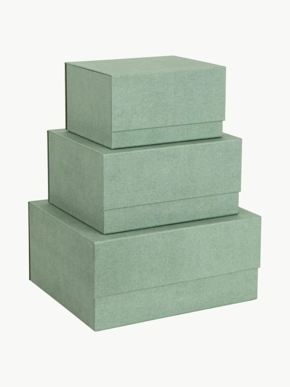 Opbergdozen Ilse, set van 3^Bigso Box of Sweden Outlet