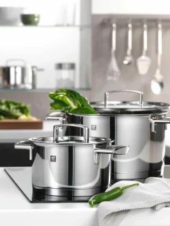 Pannen Passion van edelstaal, set van 5^ZWILLING Sale