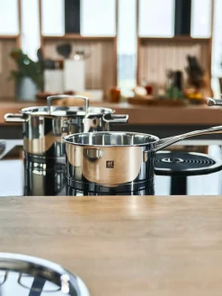 Pannen Passion van edelstaal, set van 5^ZWILLING Sale