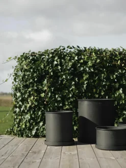 Plantenbakken Plant, 2-delig^DBKD Sale