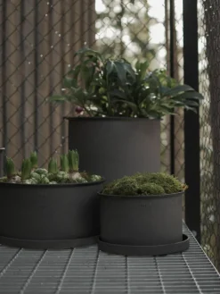 Plantenbakken Plant, 2-delig^DBKD Sale