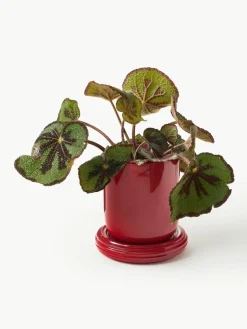 Plantenpot Churros^&k Amsterdam Clearance