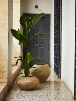 Plantenpot Dodu van cement^ferm LIVING Online