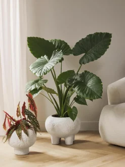 Plantenpot Elm van keramiek, H 27 cm^Westwing Collection Outlet