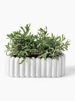 Plantenpot Mist, B 35 cm^DBKD Fashion