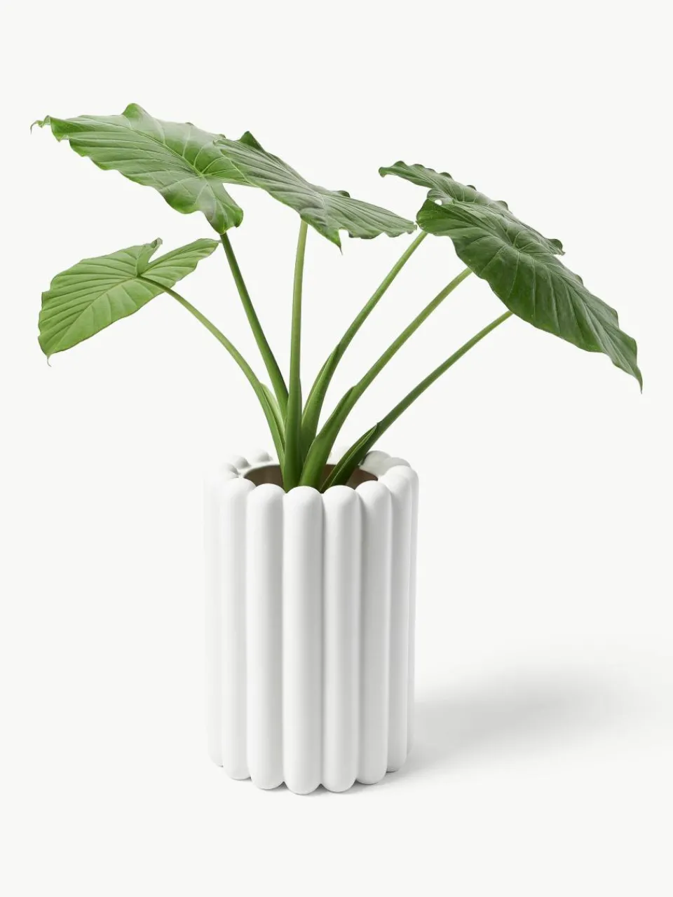 Plantenpot Mist, H 27 cm^DBKD Sale