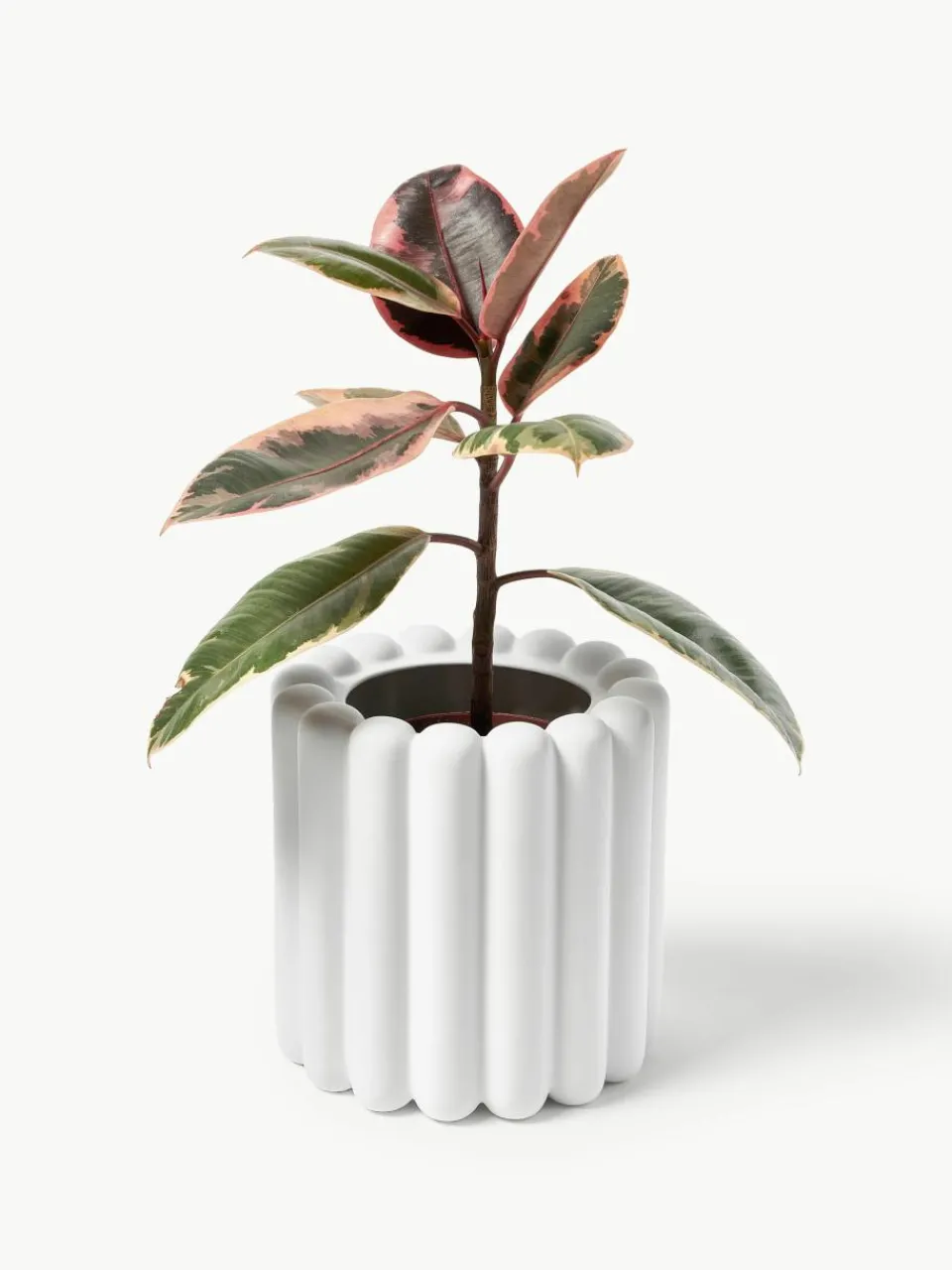 Plantenpot Mist, H 19 cm^DBKD Sale