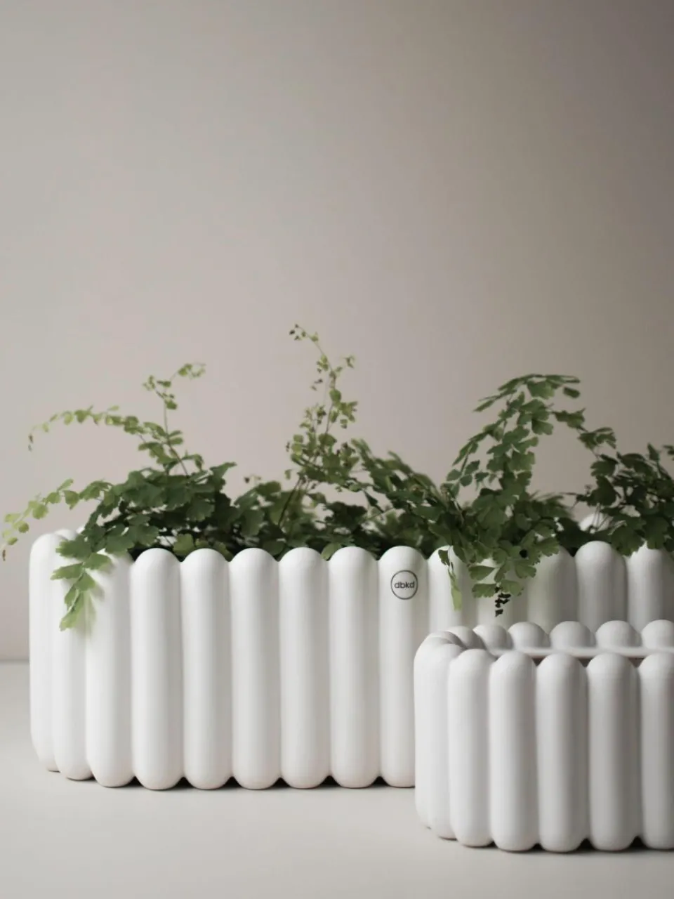 Plantenpot Mist van keramiek, B 48 cm^DBKD Fashion