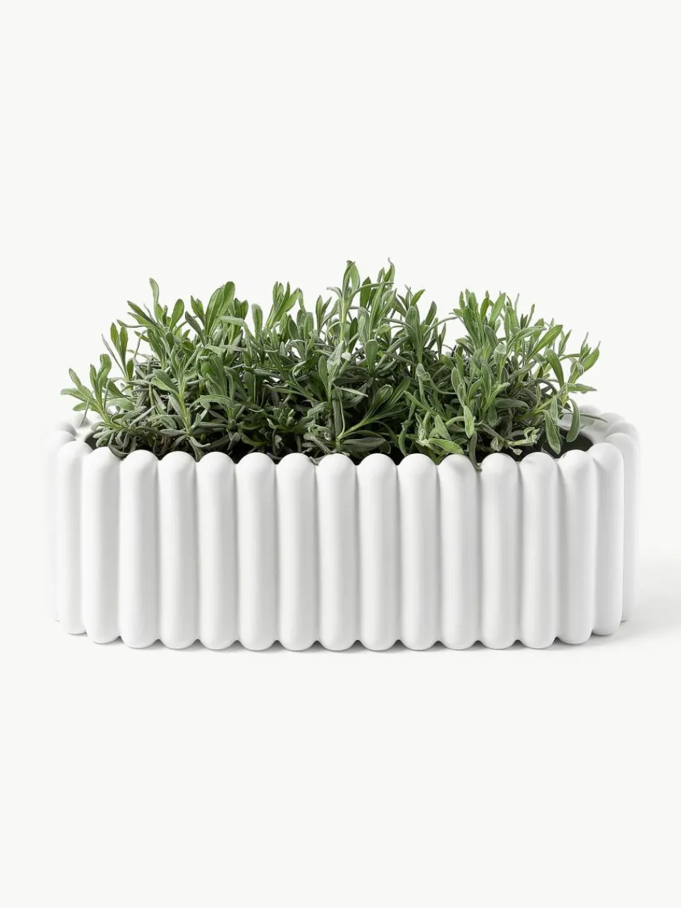 Plantenpot Mist van keramiek, B 48 cm^DBKD Fashion