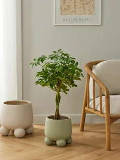 Plantenpot Olea, H 26 cm^Westwing Collection Online