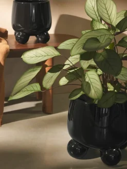 Plantenpot Olea, H 26 cm^Westwing Collection Outlet