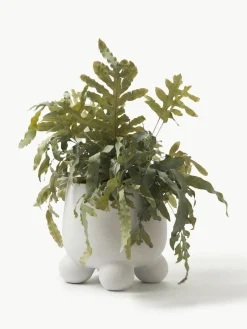 Plantenpot Olea, H 26 cm^Westwing Collection Discount