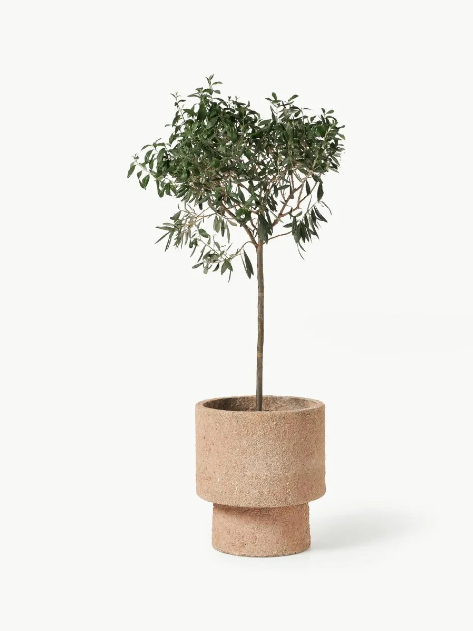 Plantenpot Patmos, H 29 cm^Westwing Collection Clearance