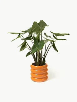 Plantenpot Rudi van keramiek, H 30 cm^Westwing Collection Sale