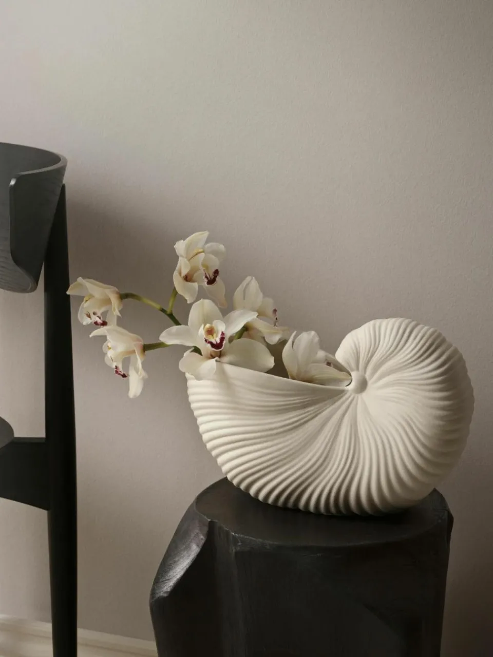 Plantenpot Shell in schelp vorm^ferm LIVING Online