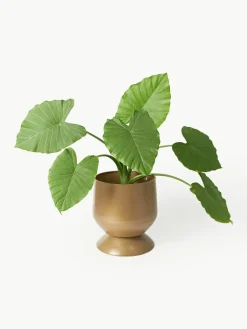 Plantenpotten Renya, set van 2^Westwing Collection Fashion