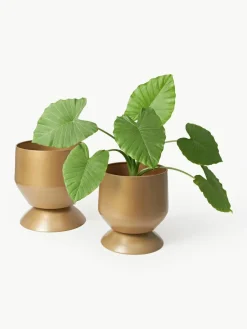 Plantenpotten Renya, set van 2^Westwing Collection Fashion