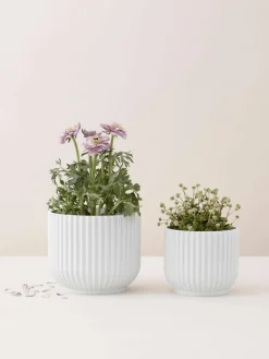 Porseleinen plantenpot Lyngby, H 11 cm^Lyngby Porcelaen Clearance