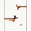 Poster Doug the Dachshund^MADO Best