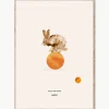 Poster Rocky the Rabbit^MADO Sale