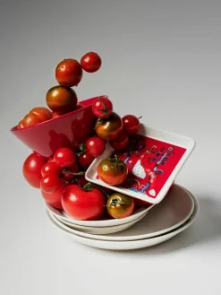 Schaal Teema van vitroporselein^iittala Outlet