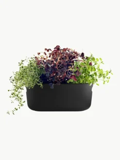 Sponk zelfwatergevende plantenorganizer^Eva Solo Best