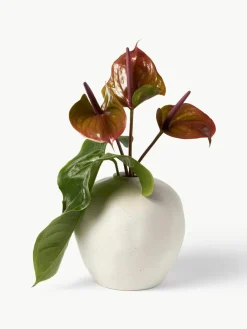 Vaas Bruno van keramiek, H 26 cm^Westwing Collection Best