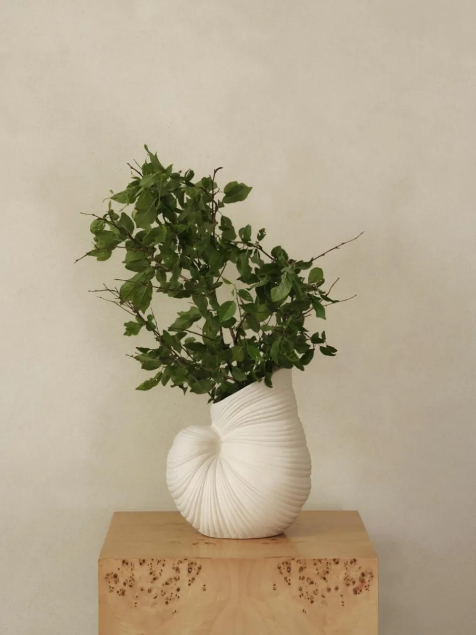 Vaas Shell in schelpenvorm, H 27 cm^ferm LIVING Best