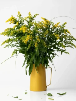 Waterkan Diario, 2 L^knIndustrie New
