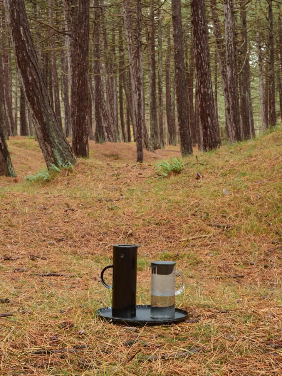 Waterkaraf EM77, 1.5 L^stelton Online