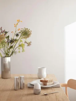 Zout- en peperstrooier Bernadotte van edelstaal, set van 2^GEORG JENSEN Discount