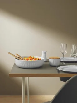 Zoutdoos Legio Nova met deksel en lepel, set van 3^Eva Solo Sale
