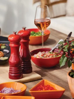 Zoutmolen Creuset met keramisch maalwerk^LE CREUSET New